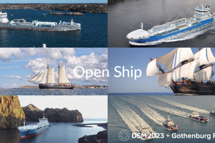 Open ship DSM 2023-1